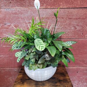 10" plant basket ceramic