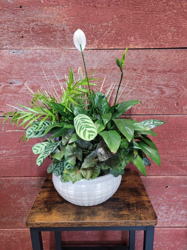 10" plant basket ceramic