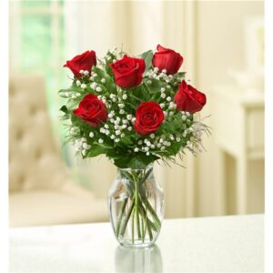 1/2 Dozen Roses Arrangement