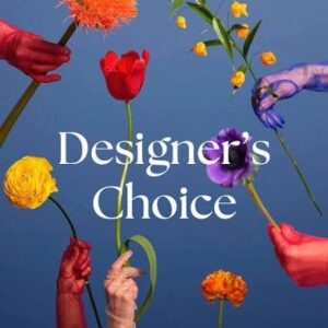 Designer's Choice