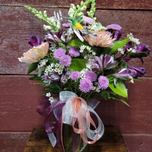 Hummingbirds Paradise