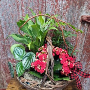 Custom Blooming Plant Basket